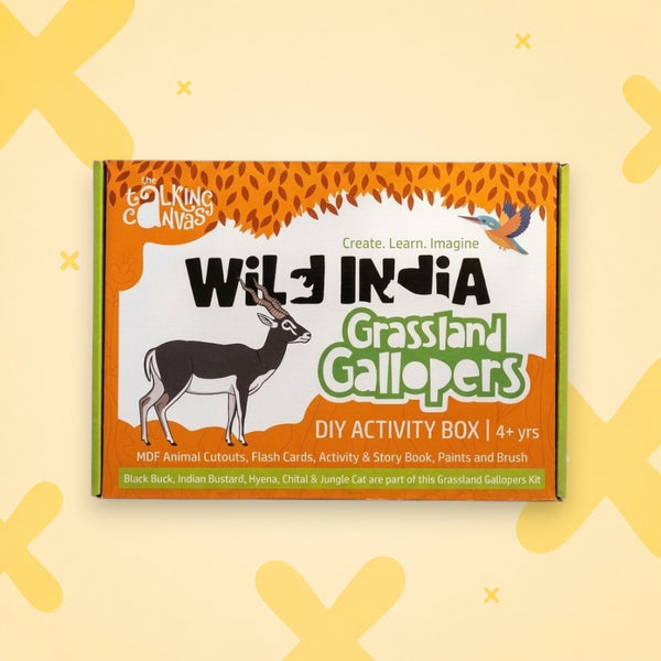 Wild India Grassland Gallopers DIY Kit | Kids Art Kit Age 4+