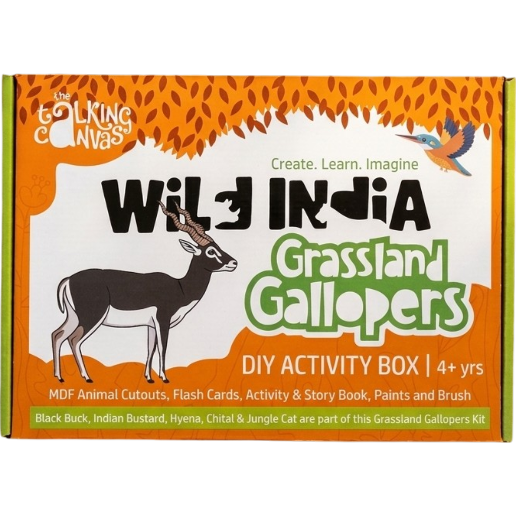 Wild India Grassland Gallopers DIY Kit